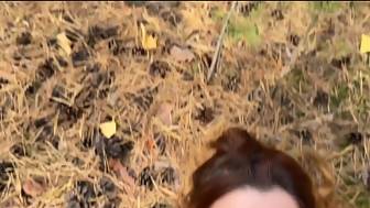 blow forest pov