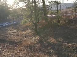 19 min - Couple fuckin outdoors car