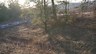 couple fuckin outdoors car